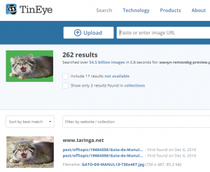 Tineye поиск по картинке на русском