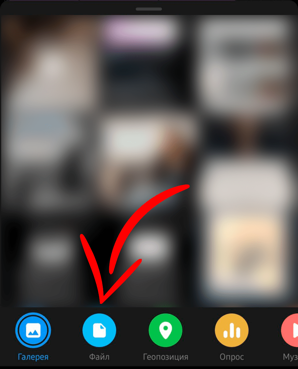 Телеграмм фото без сжатия как отправить фото 9
