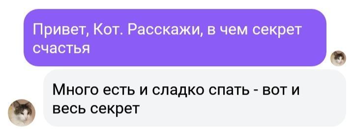 Как сделать фейковую переписку ВКонтакте
