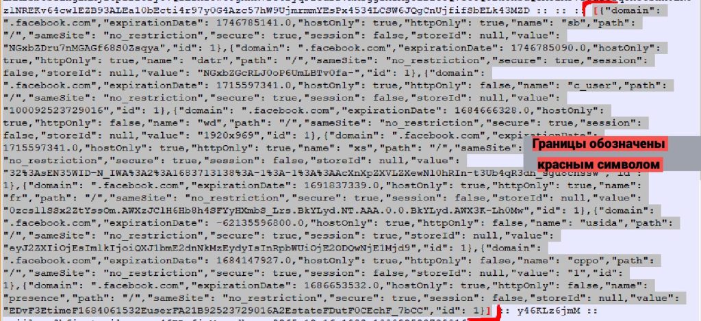Как выглядит cookies-файл